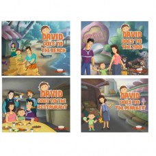 David Goes To Set Of 4 Books