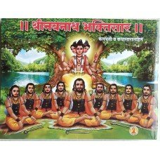 Shree Navnath Bhaktisar (Medium) Shree Navnath Bhaktisar (Medium)