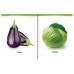 My First Board Book Vegetables